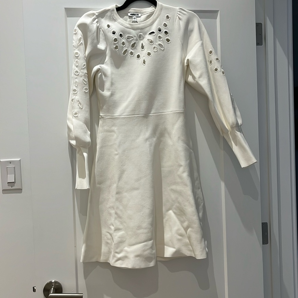 White express sweater dress